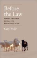 Before The Law