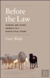 Before The Law
