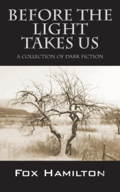 Before The Light Takes Us: A Collection Of Dark Fiction