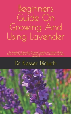 Bertrand.pt - Beginners Guide On Growing And Using  Lavender