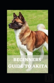 Beginners  Guide To Akita