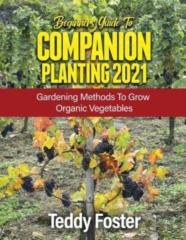 Beginners Guide To Companion Planting 2021