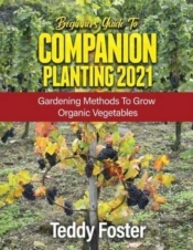 Beginners Guide To Companion Planting 2021