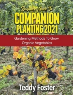 Bertrand.pt - Beginners Guide To Companion Planting 2021