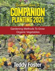 Beginners Guide To Companion Planting 2021