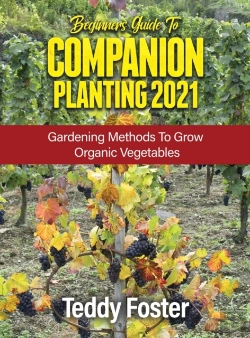 Bertrand.pt - Beginners Guide To Companion Planting 2021