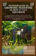 Beginners Guide To Growing Floating Plants In Your Aquarium