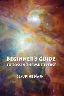 Beginner'S Guide To Loss In The Multiverse