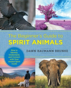 Bertrand.pt - Beginner'S Guide To Spirit Animals