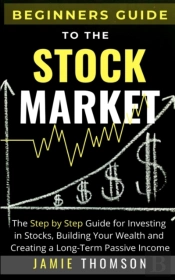 Beginners Guide To The Stock Market: The