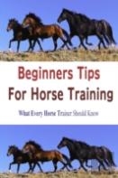 Beginners Tips For Horse Training