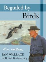 Beguiled By Birds