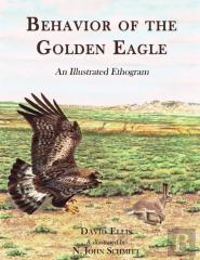 Behavior Of The Golden Eagle