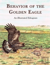 Behavior Of The Golden Eagle