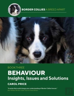 Bertrand.pt - Behaviour: Insights, Issues And Solutions