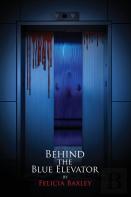 Behind The Blue Elevator