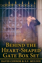 Behind The Heart-Shaped Gate Box Set