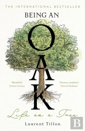 Being An Oak