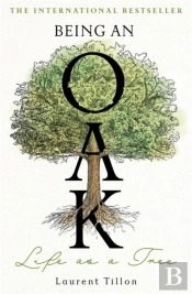 Being An Oak