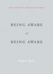Being Aware Of Being Aware