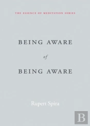 Being Aware Of Being Aware
