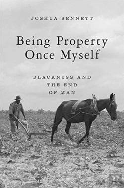 Bertrand.pt - Being Property Once Myself