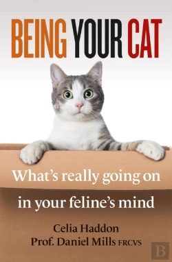 Bertrand.pt - Being Your Cat