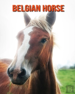 Bertrand.pt - Belgian Horse