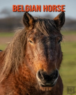 Bertrand.pt - Belgian Horse
