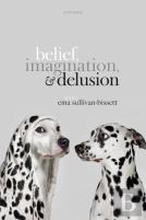 Belief, Imagination, And Delusion