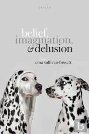 Belief, Imagination, And Delusion