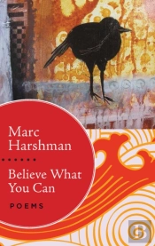 Believe What You Can