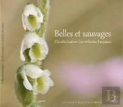 Belles Et Sauvages - Les Orchidees Francaises