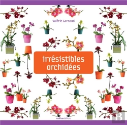 Bertrand.pt - Belles Orchidees