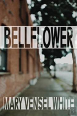 Bertrand.pt - Bellflower