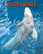 Beluga Whale