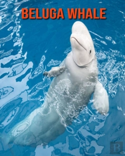 Bertrand.pt - Beluga Whale