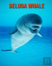 Beluga Whale