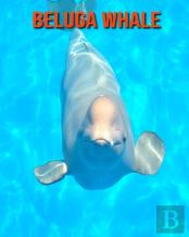 Beluga Whale