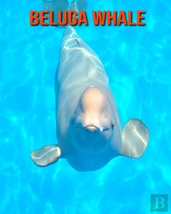 Bertrand.pt - Beluga Whale