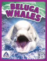 Beluga Whales