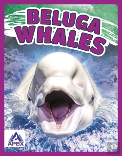 Bertrand.pt - Beluga Whales