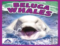 Beluga Whales