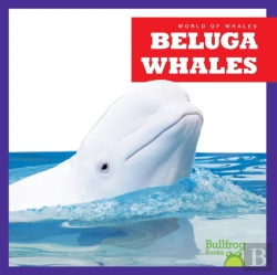 Bertrand.pt - Beluga Whales