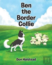 Ben The Border Collie