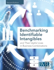 Benchmarking Identifiable Intangibles And Their Useful Lives In Business Combinations, Second Edition