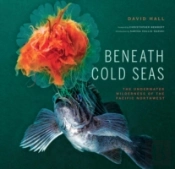 Beneath Cold Seas