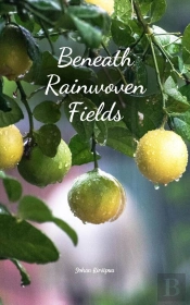 Beneath Rainwoven Fields