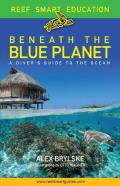 Beneath The Blue Planet