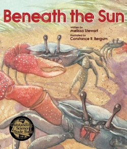 Bertrand.pt - Beneath The Sun